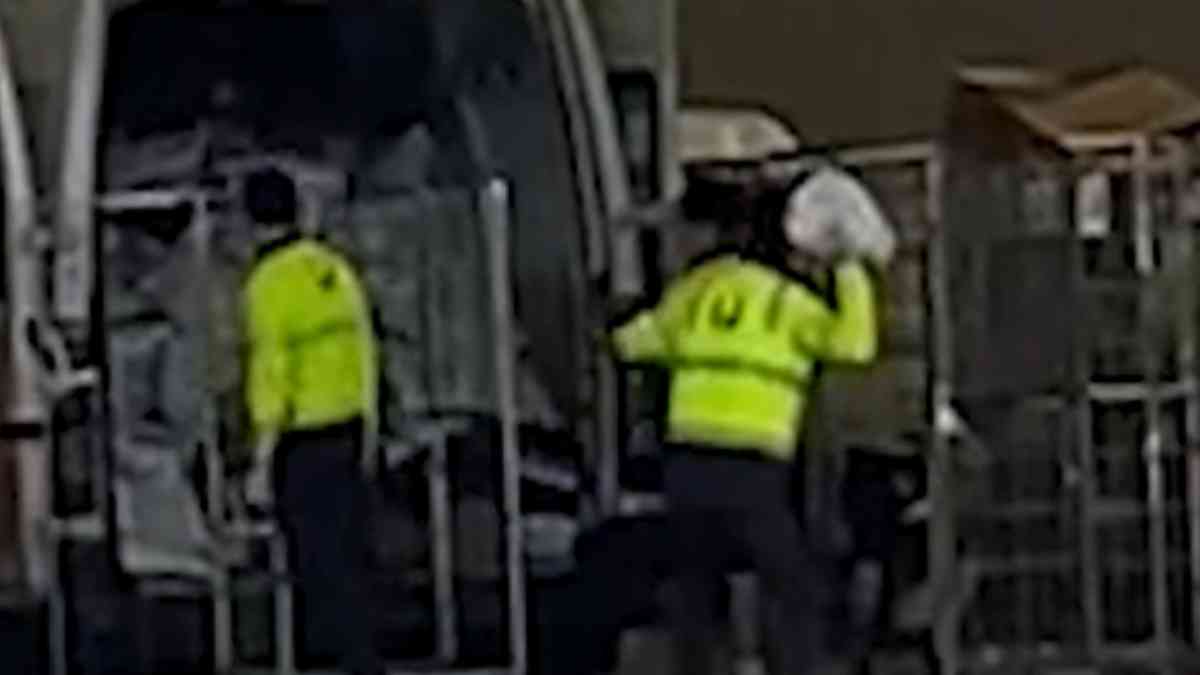 Parcel mishandling: Australia Post investigates viral video