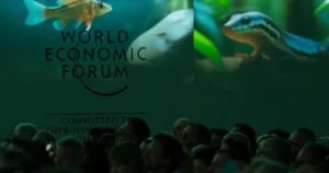 WEF 2024: Live updates from the World Economic Forum in Davos