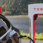 Tesla's stock rollercoaster: The highs, lows and a divided future