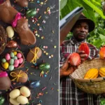 Climate change and greed: The real cost of your Easter treats