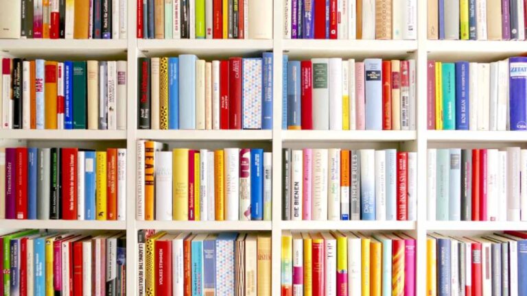 Booktopia enters voluntary administration: What went wrong?