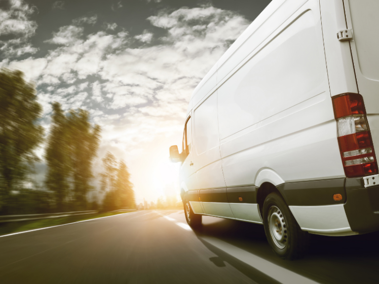 delivery system