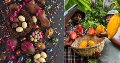 Climate change and greed: The real cost of your Easter treats