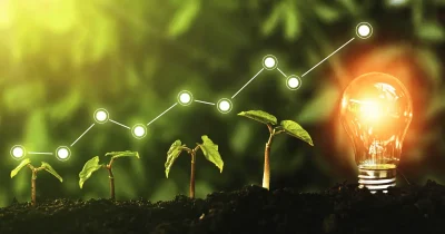 Social learning: How governments can make green tech trendy