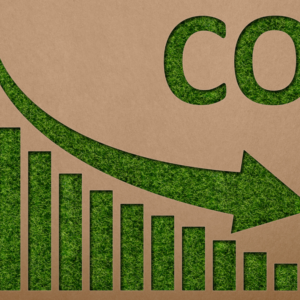 A race between last-mile delivery companies to be emission-neutral