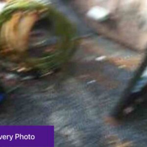Photos taken after delivery can reduce the influx of calls for help