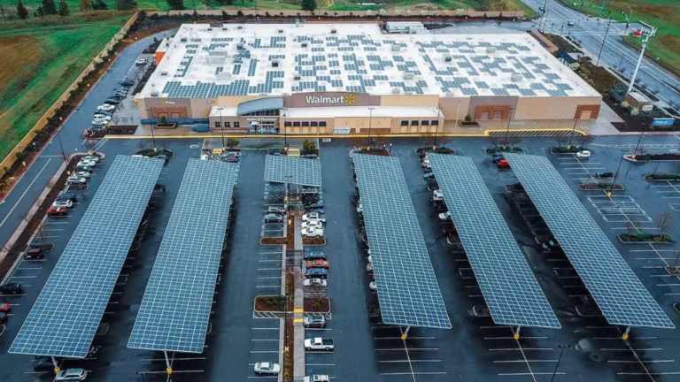 Walmart's climate action plan to achieve net-zero emissions